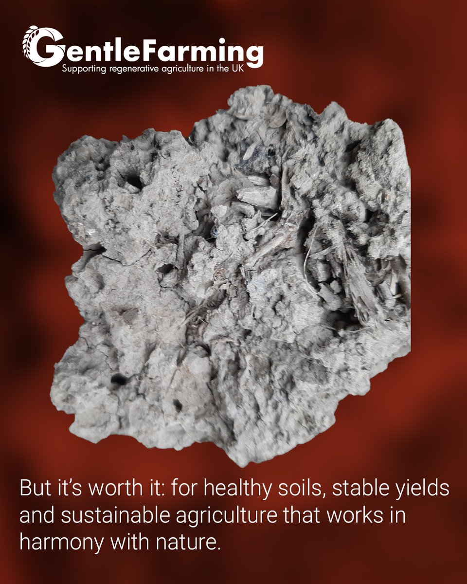 Agriculture is changing. 🌱
<a href="/TonyGentGD1/">Tony Gent</a>, <a href="/thomas_gent_uk/">Thomas Gent</a>  &amp; NEXAT lead with no-till &amp; smart tech - protecting soil, boosting yield, shaping the future.

Or read here: nexat.de/en/gentle-farm…