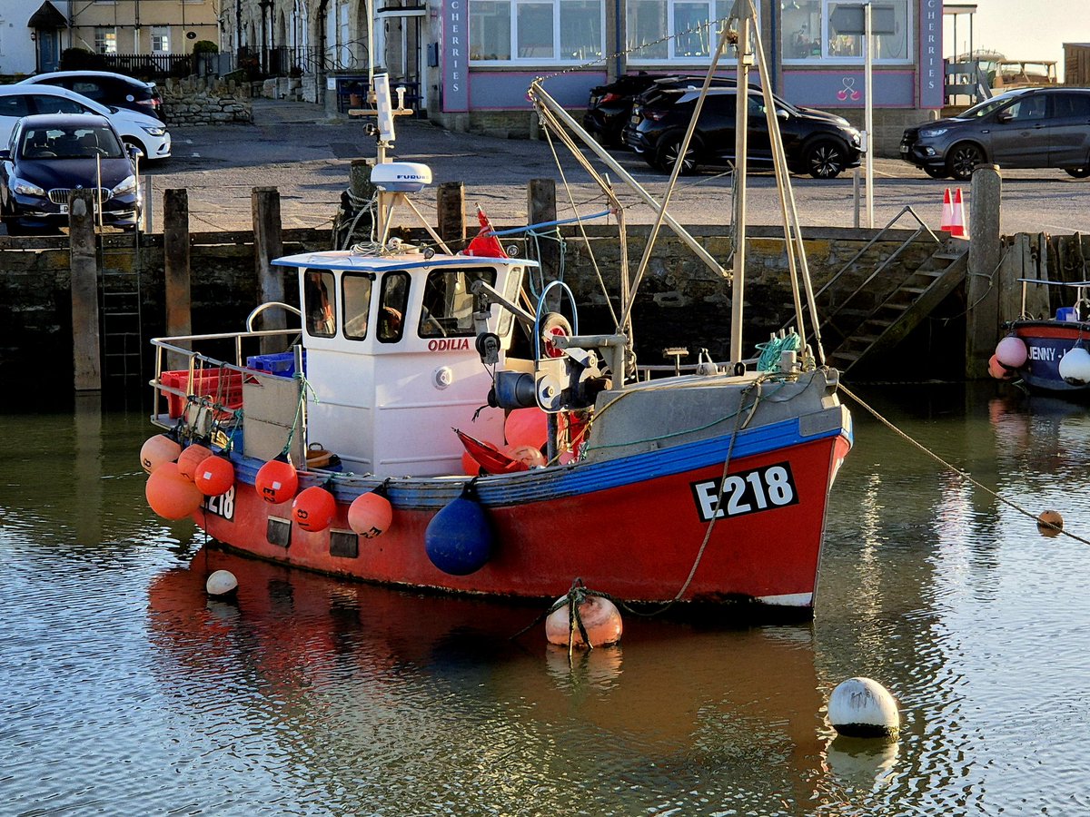 Bryce Stewart tweet media