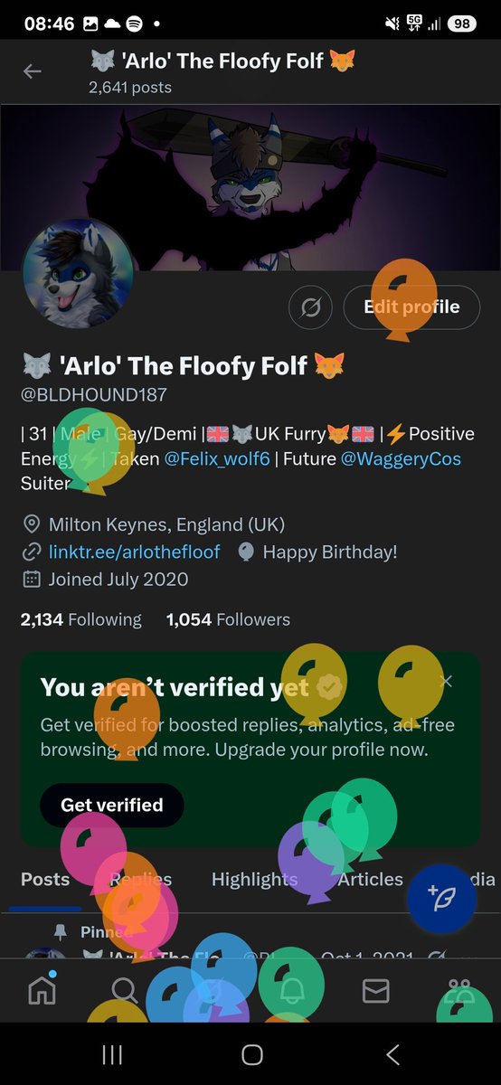 🐺 'Arlo' The Floofy Folf 🦊 tweet media