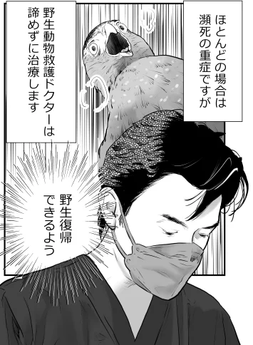 >RT 6月のいきものづくしで講演されるお1人である土城先生は、カンムリワシ漫画に野生動物救護ドクターとして描いた先生です。
多くの人をカンムリワシ沼に落としたい先生です!
知られざる、カンムリワシをはじめとしたお話が聞けるのではないか、と思います😊 