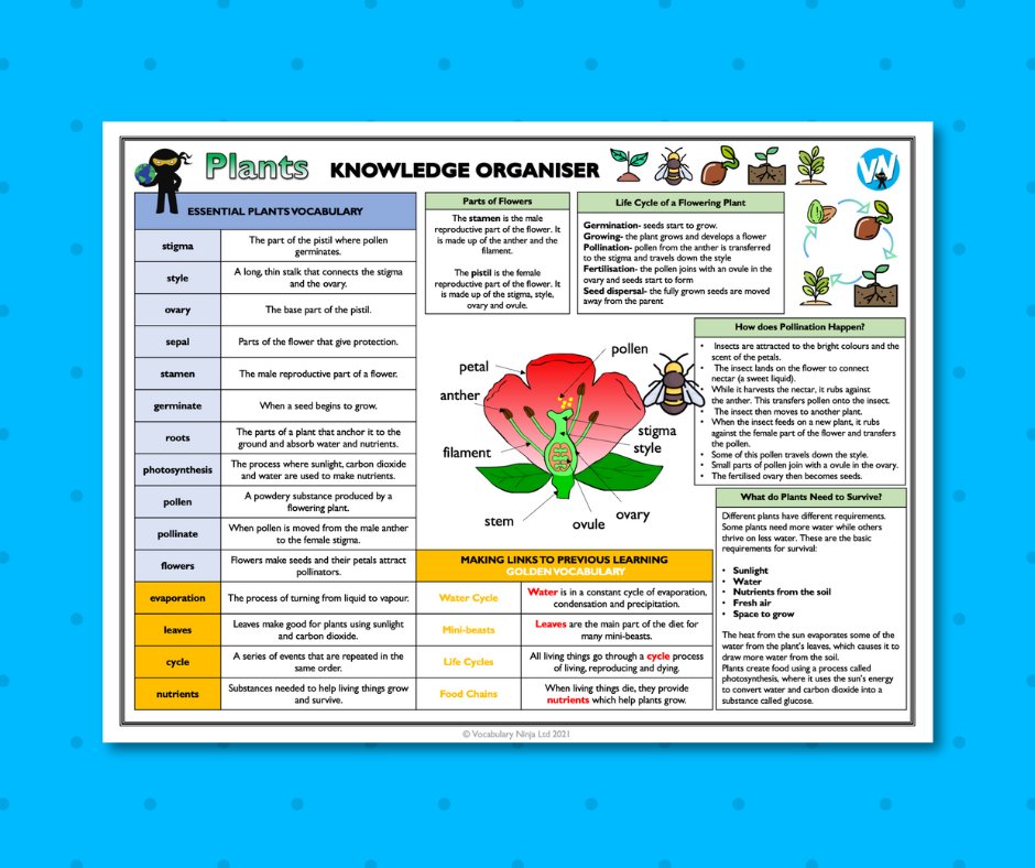 VocabularyNinja's tweet image. 🧠 🧠 Knowledge Organiser Bundle 🧠 🧠

📲 vocabularyninja.co.uk/knowledge-orga…

74 different knowledge organisers, jam packed with all of the essential subject knowledge and key vocabulary! Unbelievable resources!

#edutwitter #knowledgeorganiser #subjectknowledge #curriculum