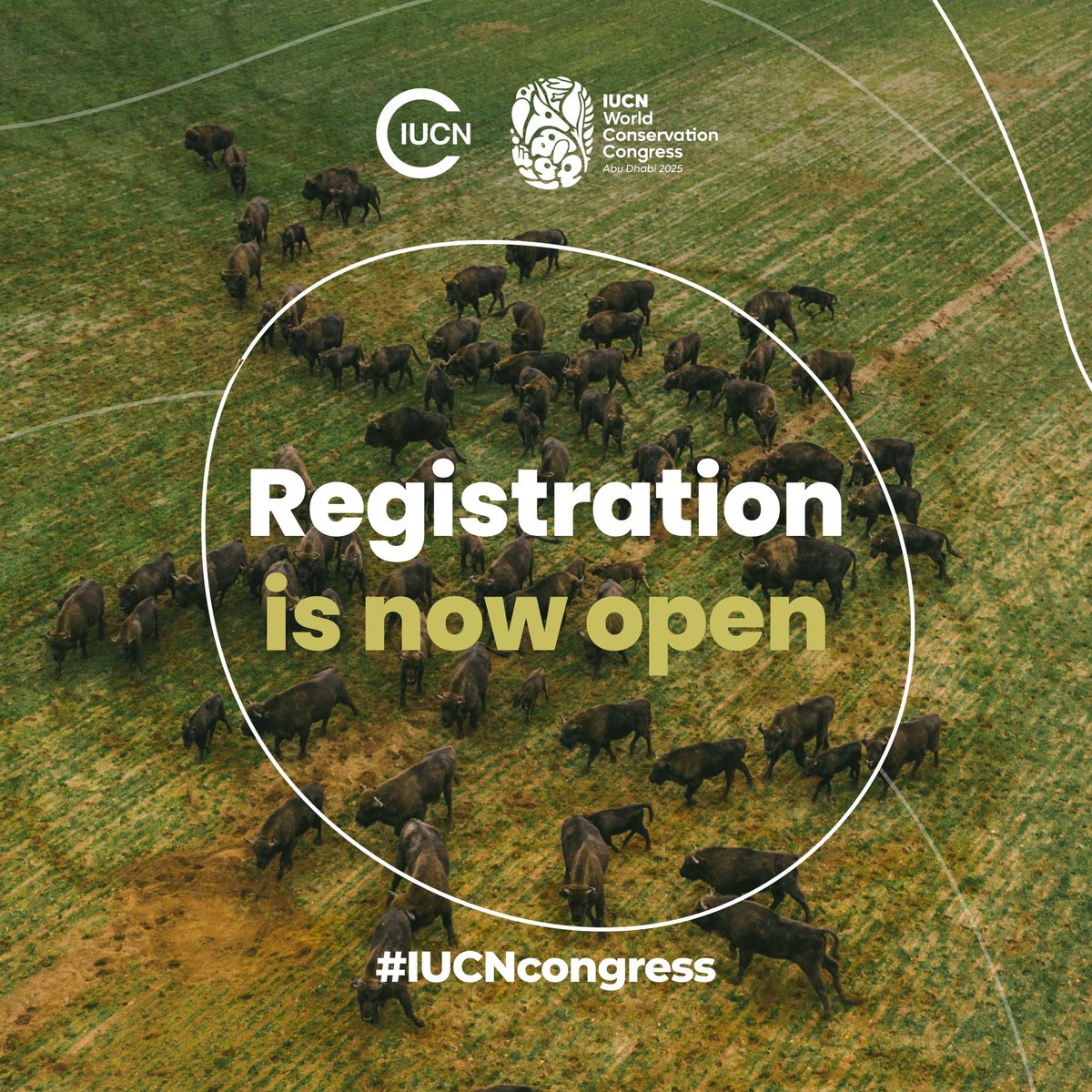 Don’t miss the chance to influence the decisions that will impact your work, and the world.

Register now for the #IUCNcongress help shape global #conservation priorities for the coming decade.

➡️ bit.ly/4iFPpGh