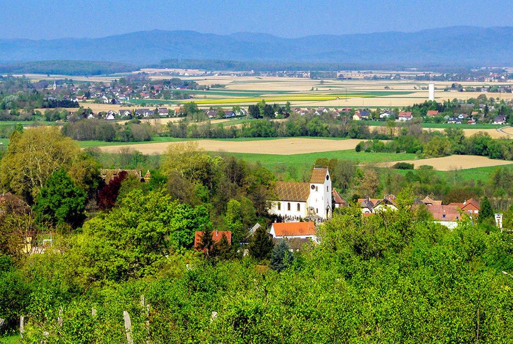 "Que Notre Alsace est Belle !" - mon nouveau Substack est en ligne 🌸 monalsacelorraine.substack.com/p/que-notre-al…