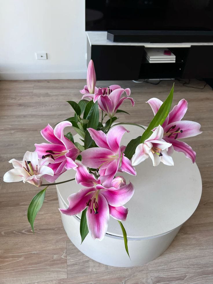 pink lilies <3