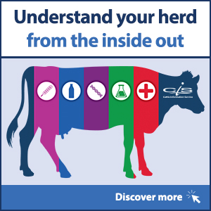 CISTelford's tweet photo. Understand your herd from the inside out with CIS 🔎
The milk, blood, and tissue samples we test provide a wealth of information to assist in making informed decisions about breeding, feeding, and overall farm management to maximise the herd’s output.
➡️ https://t.co/uyy5LWR1IT https://t.co/e1THsn7poZ