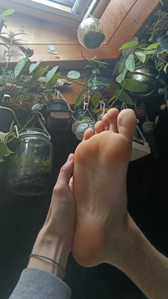 Who deserves to worship my paws?