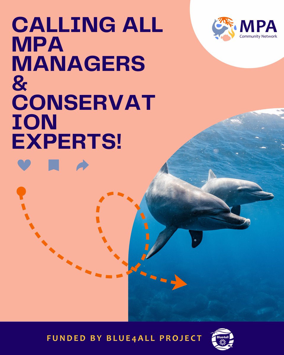 MSP4BIO_Project tweet media