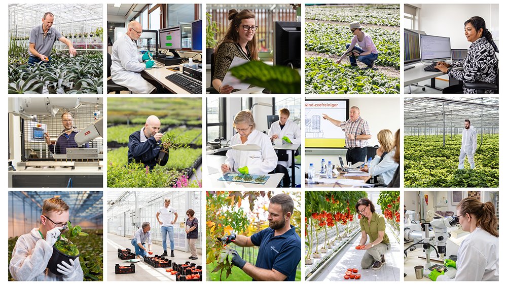 Wij zoeken drie stagiairs: 1 voor het analyseren van de groei in tuinbouwproducten,1 voor het ontwikkelen van AI voor wetgevingsinterpretatie en 1 voor allround laborant of biologisch medisch analist. Lees meer over deze stages op obi41.nl/2p9exk28