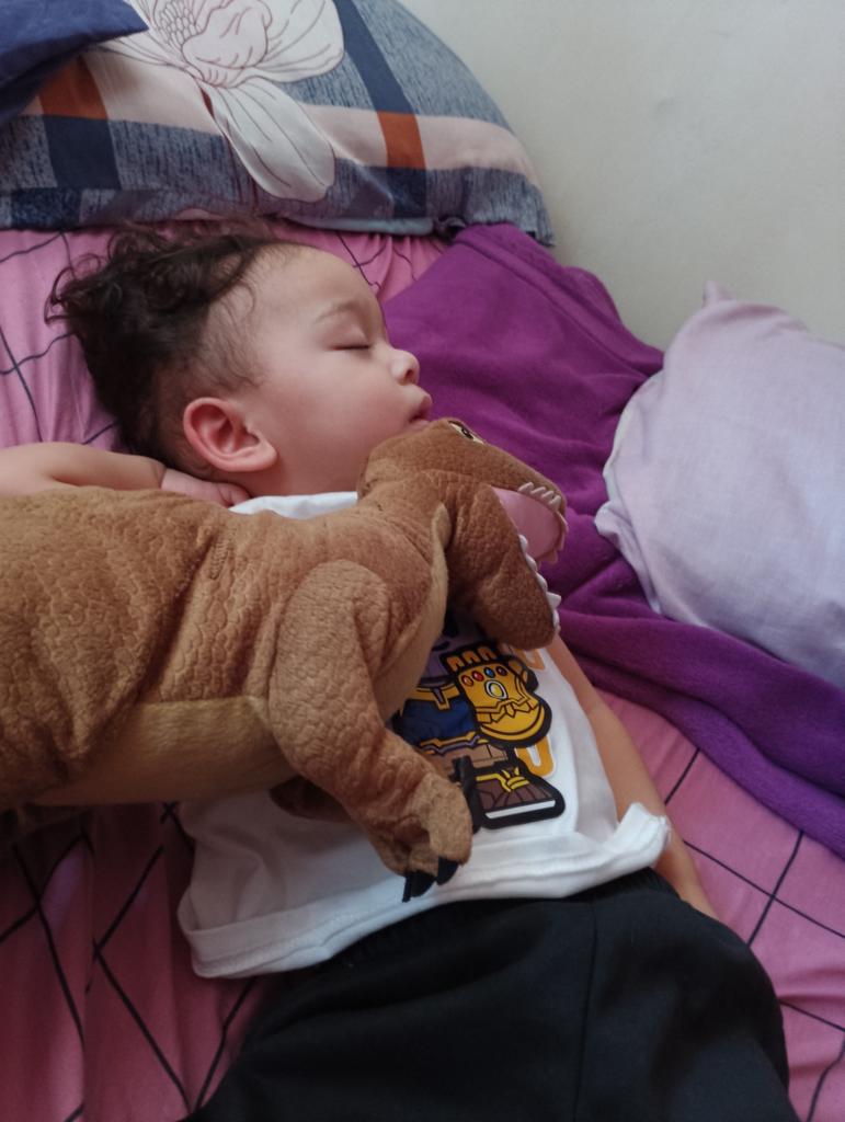 Sekarang sudah tiba waktu anak obsess dengan dinosaur 

Bapaknya pulak dok ajar suruh buat bunyi "rawr~"