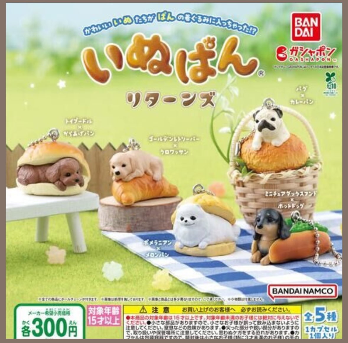 ぽちゃ🐶 tweet media