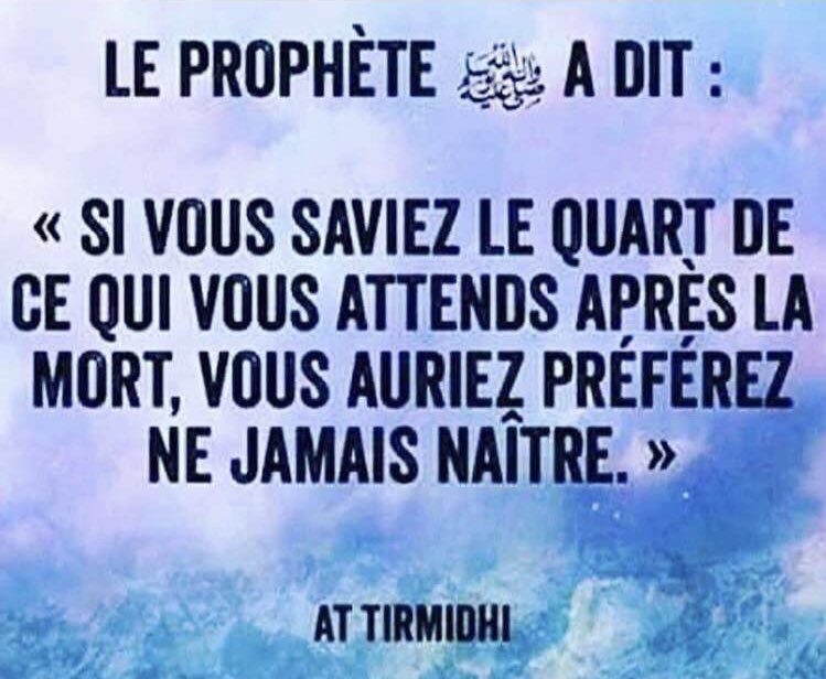 badr_elguapo's tweet photo. https://t.co/rQhQDeNhEg