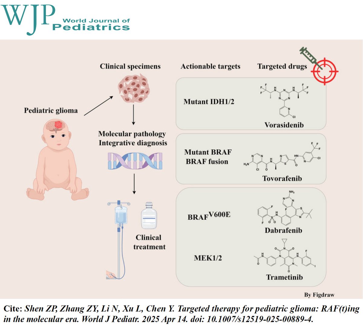 World_J_Pediatr's tweet photo. New hope for kids with brain tumors: Targeted therapies like tovorafenib show 51% response rate in pediatric gliomas, with RNA sequencing improving diagnosis to 97% accuracy.
#Meded #SoMe4PedSurg #Glioma #SignalingPathway #Pediatrics #PublicHealth
https://t.co/VSwCKr07j6 https://t.co/r578vKxDfR