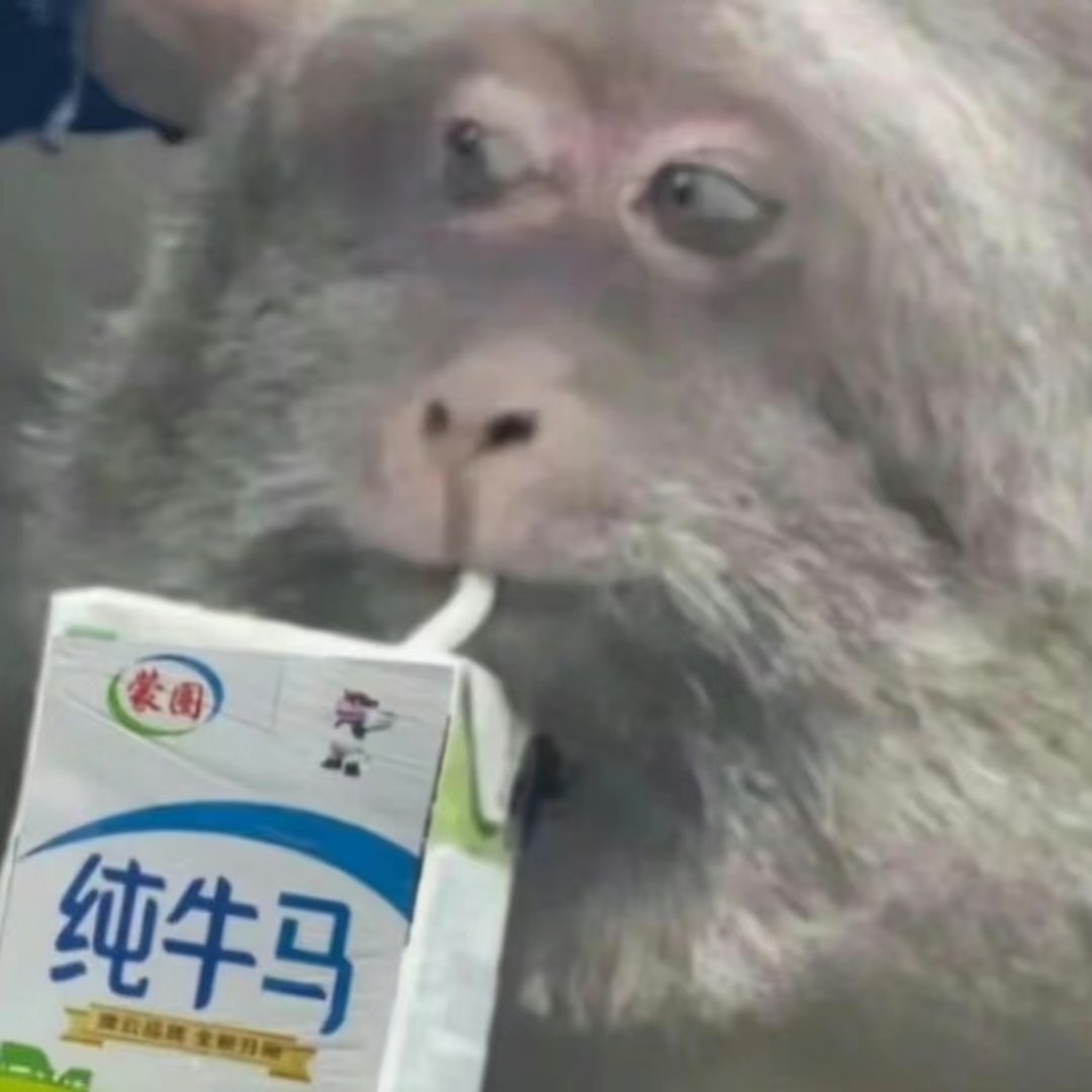 junmoyao's tweet photo. 啊啊啊啊啊啊啊啊啊啊啊啊啊啊啊啊疯了疯了疯了疯了 https://t.co/48a9d2xIAF