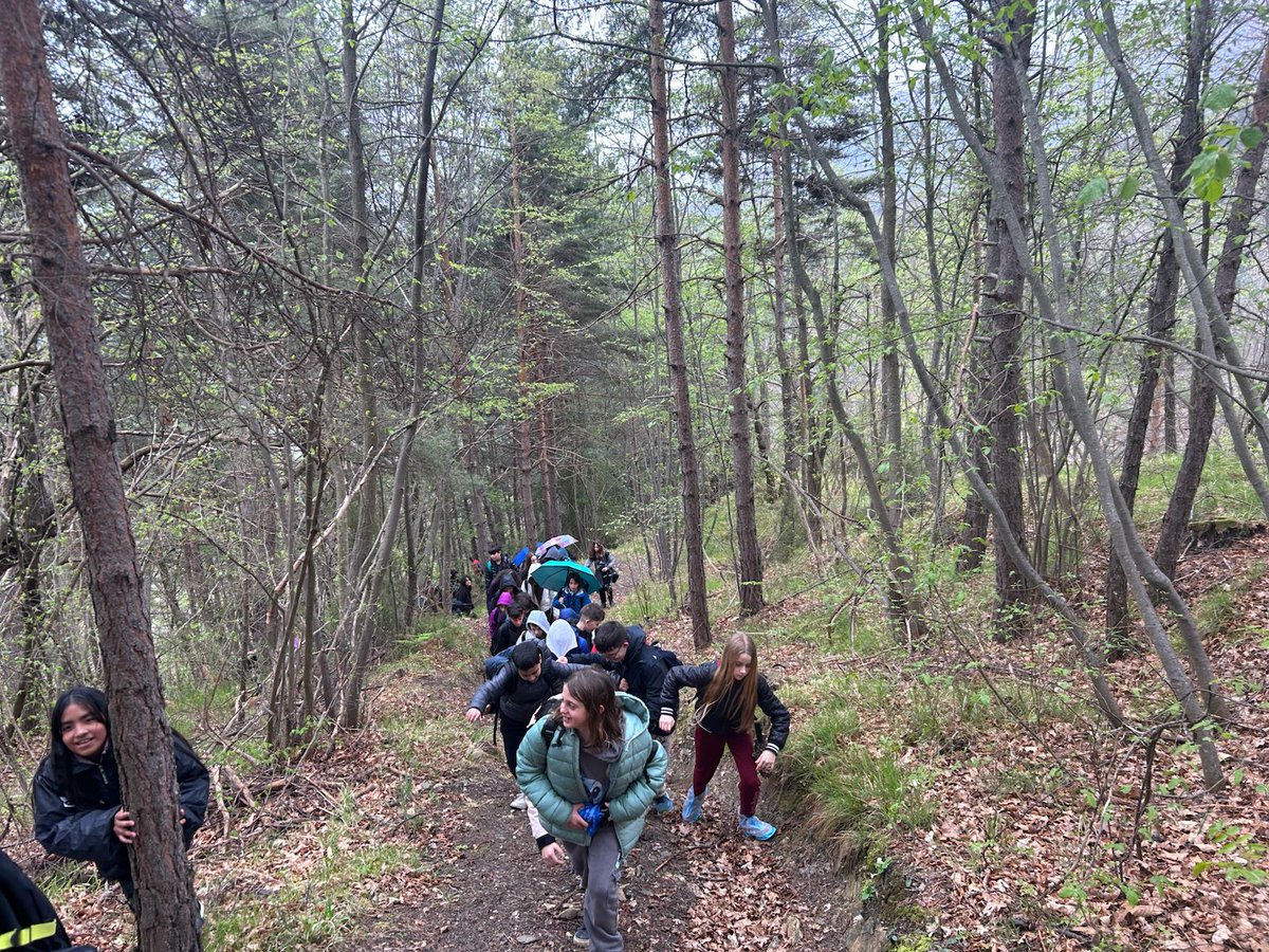 ParcoAlpiLiguri's tweet photo. Proseguono con successo le attività didattiche a cura del Centro Educazione Ambientale del #ParcoAlpiLiguri: nella giornata di ieri il nostro amico Gabriele Cristiani ha guidato i ragazzi della scuola primaria di Laigueglia e Andora in visita nel borgo di #Mendatica 🥾🌲. https://t.co/H99IYOi3k1