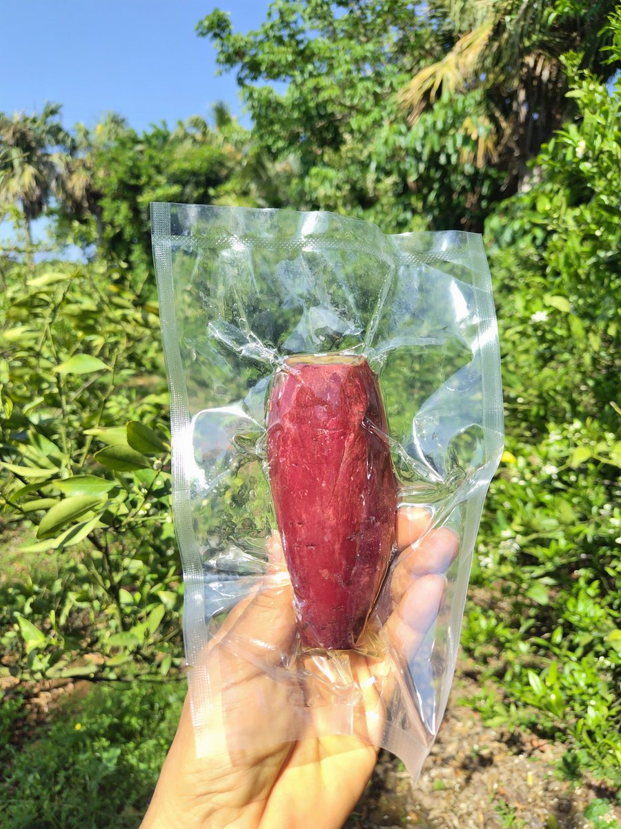毎月15日は #tomajoDAO
「ハッシュタグ企画」

今月のお題は
『サツマイモ、こう食べるのが好き』
🍠ひろすけさんの焼き芋のココが好き

冷凍焼き芋を畑に持って行って農作業。
疲れた身体に半分解凍した焼き芋が最高のおやつです!

#農村日和
#サツマイモ