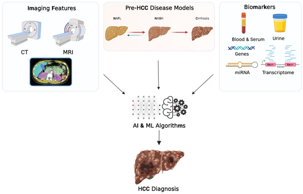 Cancers MDPI (@cancers_mdpi) on Twitter photo 📢 Today, we share the #Review "The Role of #Artificial #Intelligence in the Detection and Implementation of Biomarkers for #Hepatocellular #Carcinoma: Outlook and Opportunities"
👨🔬 by Arian Mansur, et al. <a href="/DaniaDaye/">Dania Daye, MD PhD</a> <a href="/harvardmed/">Harvard Medical School</a>
📌 Full paper here: mdpi.com/2072-6694/15/1… 📢 Today, we share the #Review "The Role of #Artificial #Intelligence in the Detection and Implementation of Biomarkers for #Hepatocellular #Carcinoma: Outlook and Opportunities"
👨🔬 by Arian Mansur, et al. <a href="/DaniaDaye/">Dania Daye, MD PhD</a> <a href="/harvardmed/">Harvard Medical School</a>
📌 Full paper here: mdpi.com/2072-6694/15/1…
