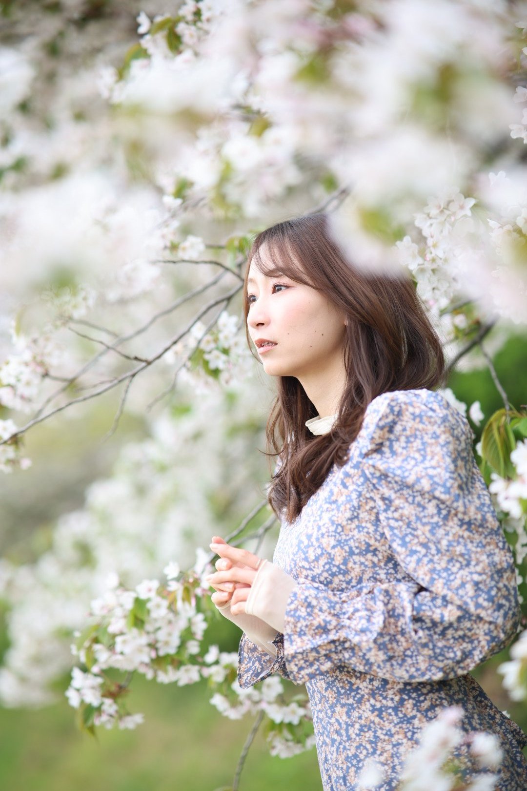 Canon - いそさんとなります。 Canon | コレクション | シャルマン