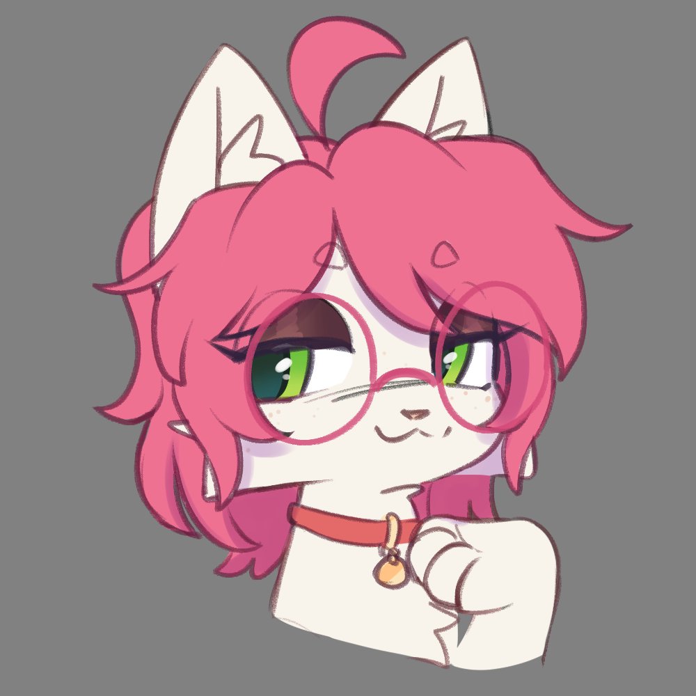 Who tf gave my cat eyeshadow