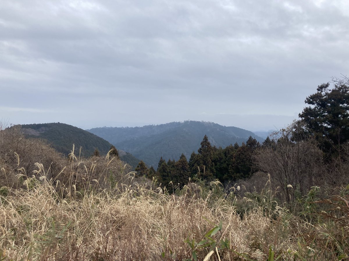 小野寺祐輔 tweet media