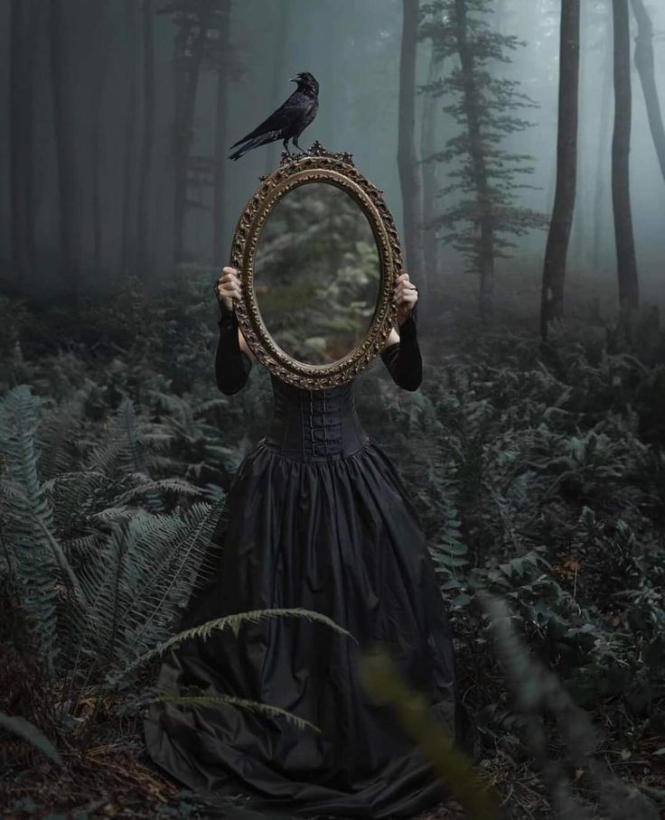 Black. (@blackdreamvibes) on Twitter photo 