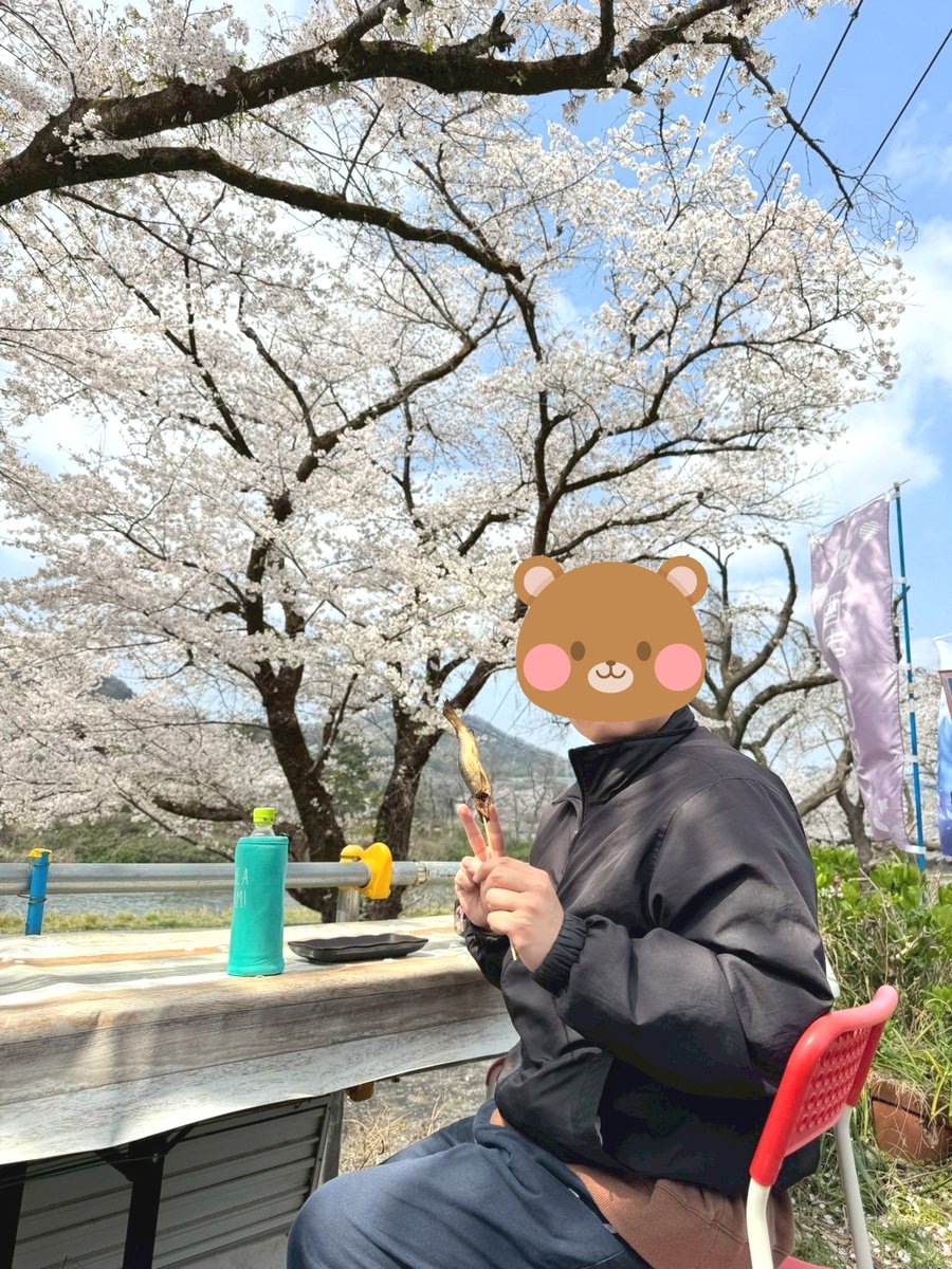 nexus_cfp's tweet photo. 先週　上大島キャンプ場に行って来ました～
天気も良く、　桜舞い散る中で気持ちのいい時を過ごせました。
ひゅるりーら🌸 https://t.co/YcsF0ba3XF
