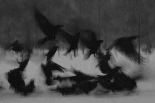 Black. tweet media