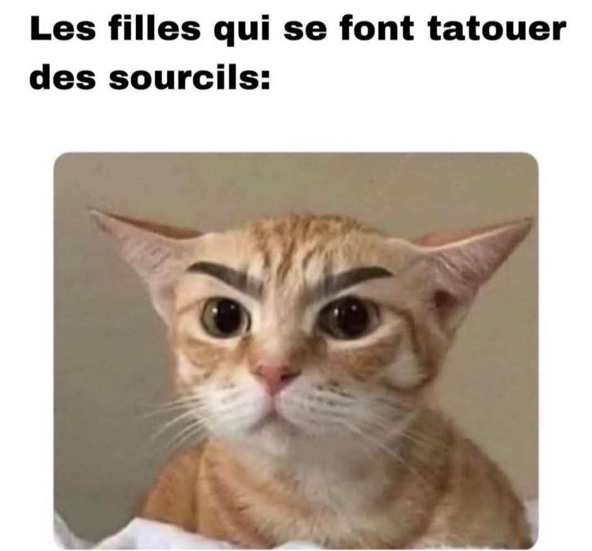 🅶🅾🆁🅺 (@raclure03) on Twitter photo 