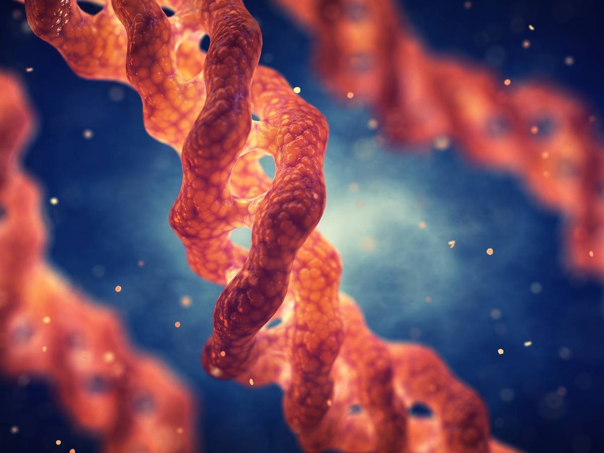 IronSage_'s tweet photo. The protein that keeps your entire body together:

Collagen.

It helps:

• Protect joints
• Repair tissues
• Keep skin tight
• Strengthen bones

Here's everything you need to know about collagen &amp; how to get it’s amazing benefits: https://t.co/KAWhqfF8u0