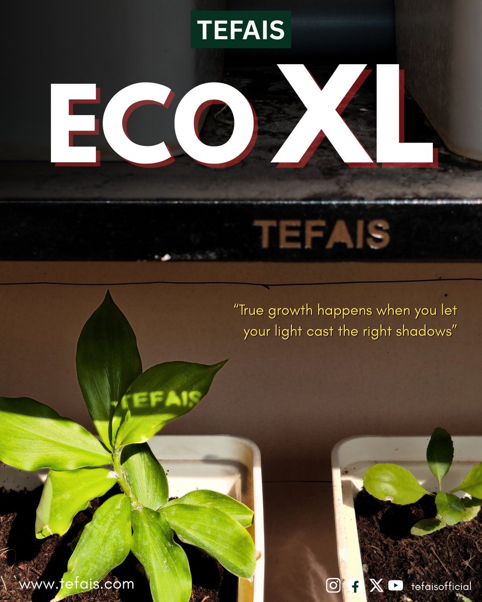 tefaisofficial's tweet photo. "When nature and light align โ even the leaves know the brand. ๐ฑโจ @tefaisofficial
To know more ->>> https://t.co/zztOc2qNpS
#tefais #PlantGoals #NatureArt #tefaiscommunity #hydroponics #urbanfarming #nature #plants #peace #mornings #vibes #society #gaming #bakery #lifestyle https://t.co/ptFXAIa2yw