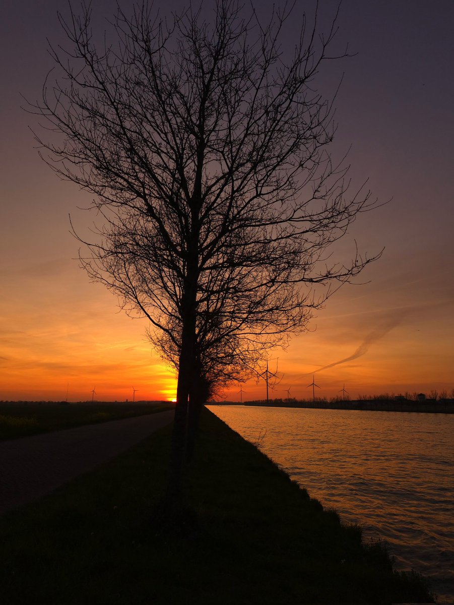 elsv62's tweet photo. Goedemorgen allemaal,  fijne dinsdag https://t.co/mbLAp4V4ti