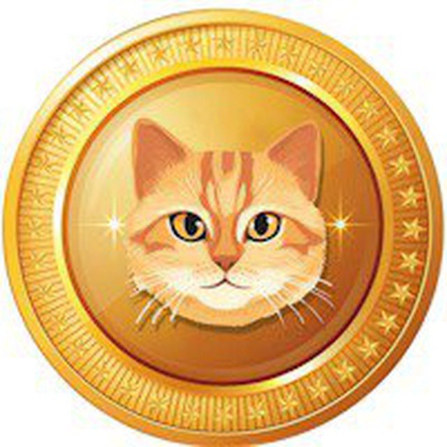 CAT TOKEN tweet media