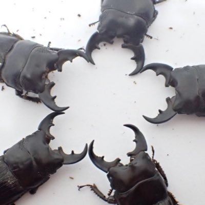 #新しいプロフィール画像