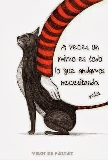 🥰🥰🙌🏼💖✨