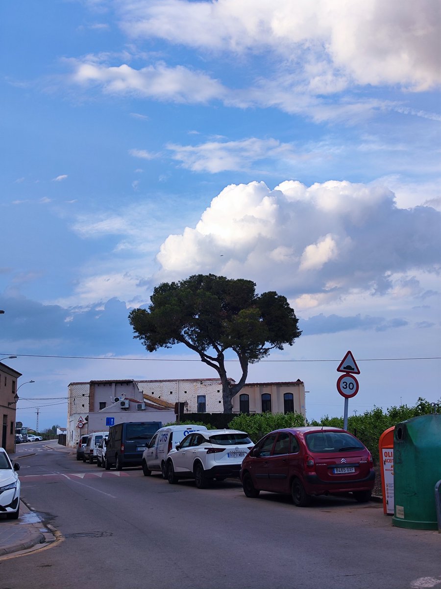 Pau Company 💻🖥️🛡️Paz y Amor 🕊️ tweet media