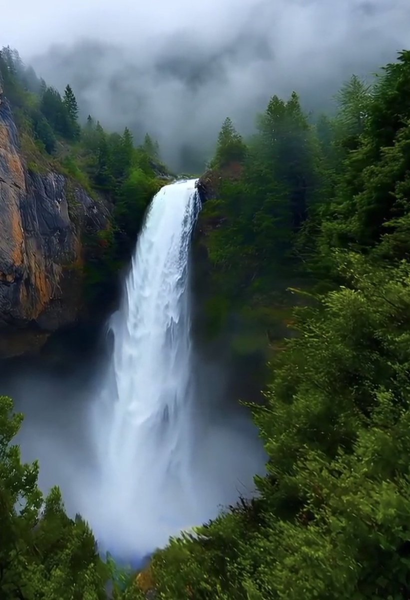 Damon22l's tweet image. Good morning!