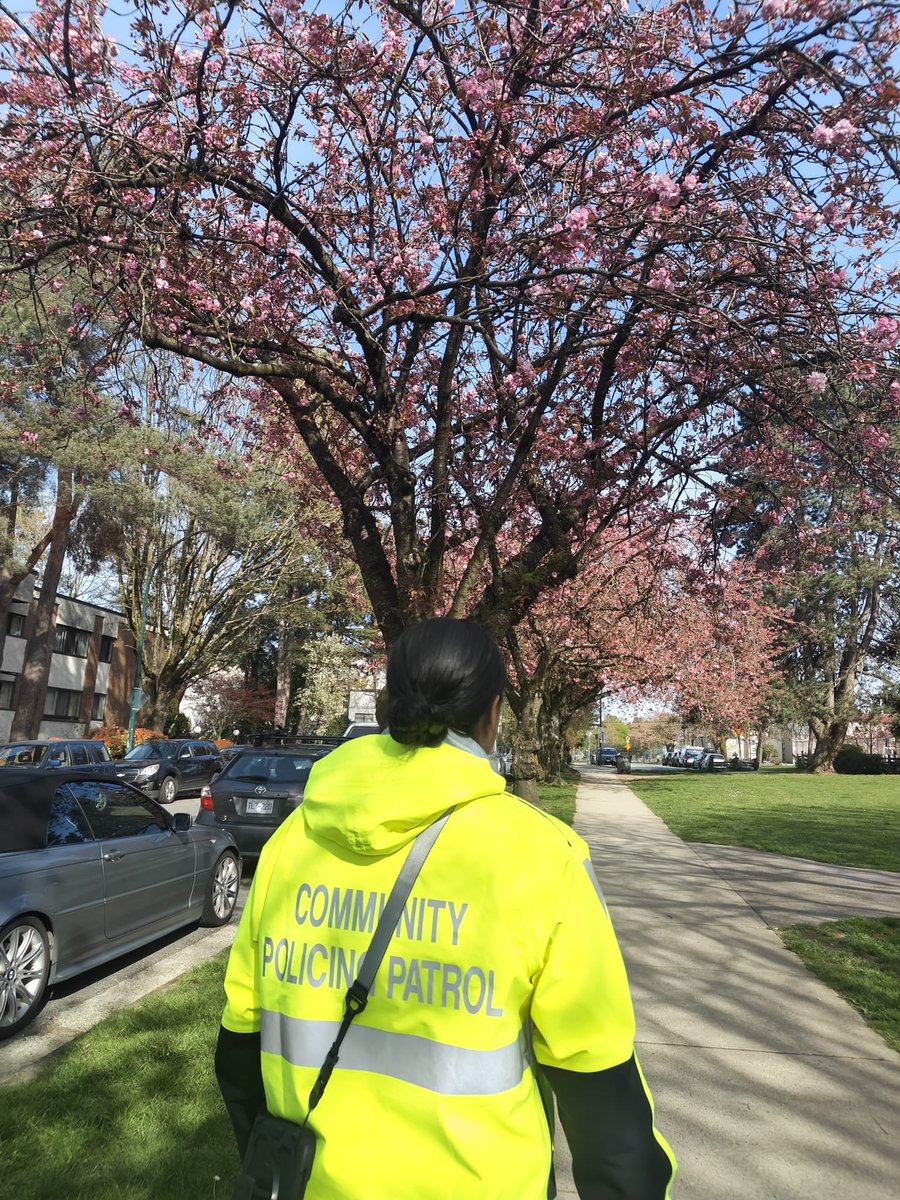 CollingwoodcpcC's tweet photo. 1/2
@CollingwoodCPC 
3rd #Patrol for Monday April 14th
was dispatched at our #MountPleasant #PBCPC.

#Volunteers Jennifer &amp; Azalea checked the #MountPleasant
#Community &amp; noted
issues during their 2hr shift.

By extensively patrolling our area, we’re always aware of any issues. https://t.co/te2wMYtXjz