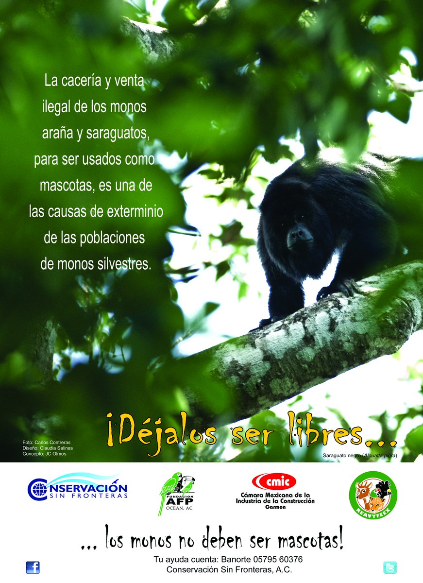 CSFMexico's tweet photo. https://t.co/CMaseG5iaM