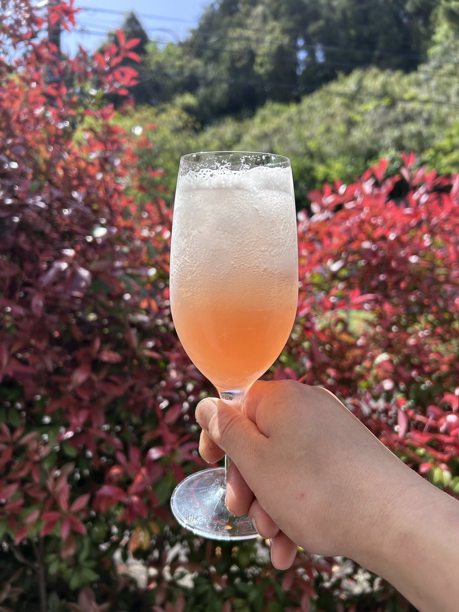 暑くなってくる時期にピッタリ🍹
