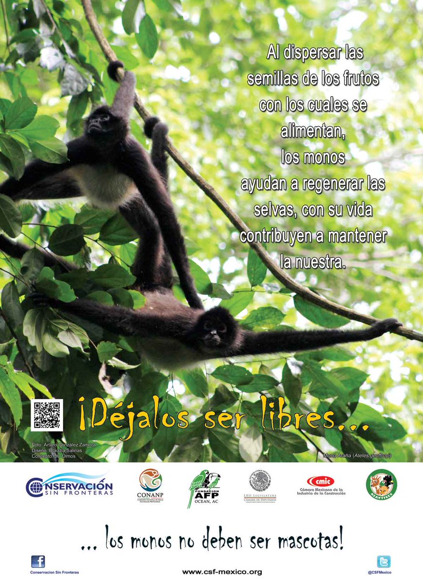 CSFMexico's tweet photo. https://t.co/4m8ltRn5Jd