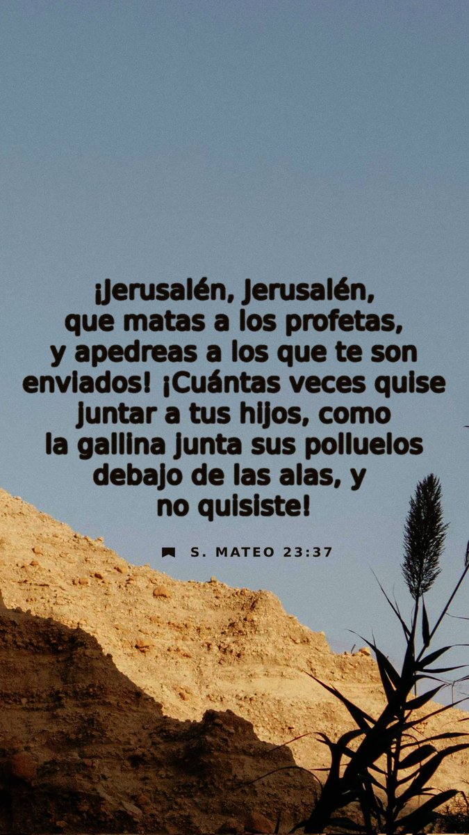 Victoria Damián (@torydamian) on Twitter photo 