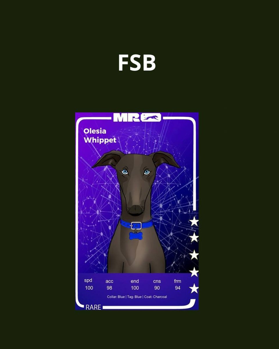 0xUsurper's tweet image. 𝐂𝐨𝐦𝐫𝐚𝐝𝐞 𝐙𝐢𝐦𝐚 placed 3rd and 𝐅𝐒𝐁 placed 6th, running their first Muzzle League EOQ Tourney and making the Red Army proud!

Brought home 226 USDT

#WhippetRacing #Racing #Web3 #Web3Games #Web3Gaming #CryptoGaming $FROTH $POL @muzzle_run