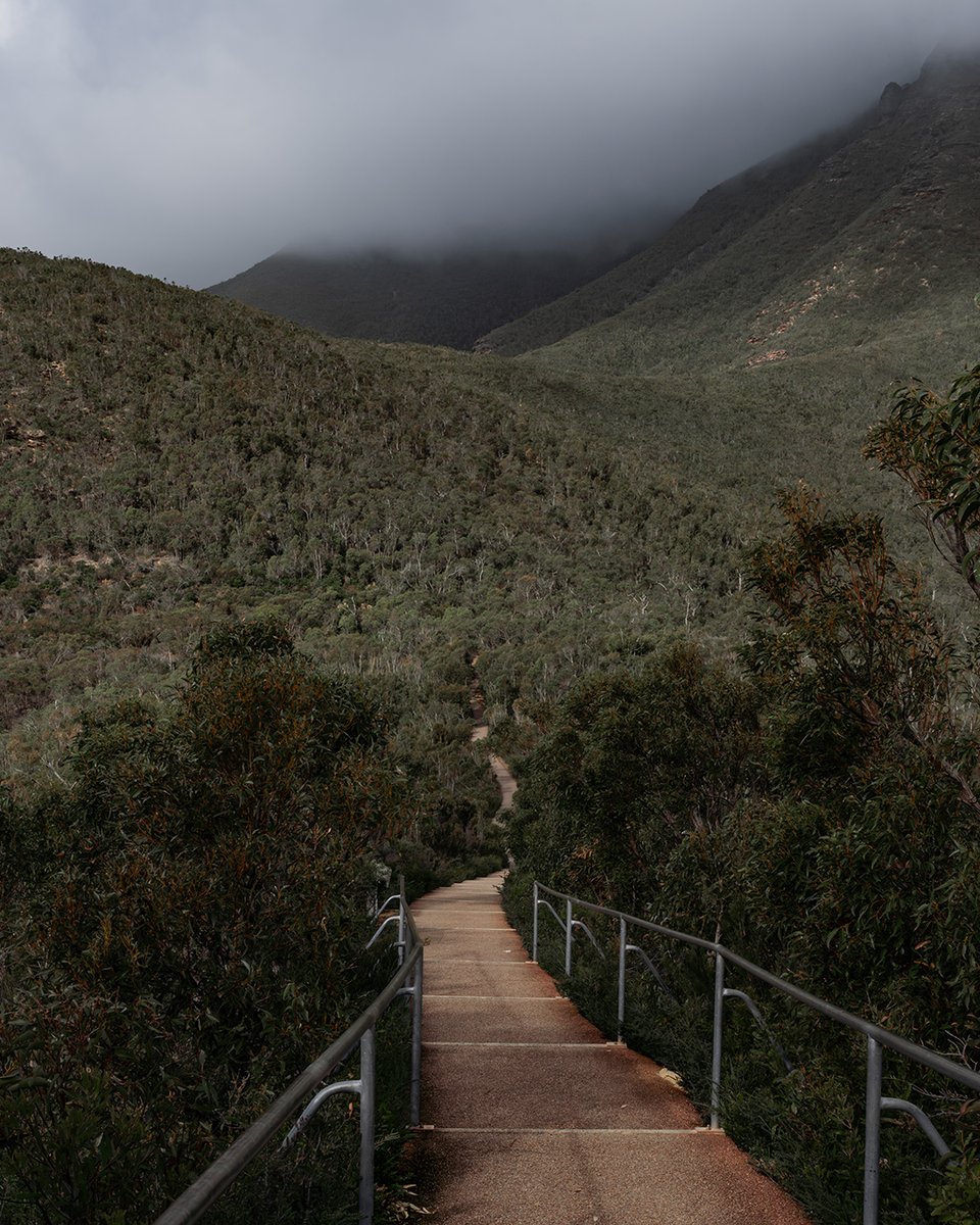 gointerstate's tweet image. Bluff Knoll is the most popular trail in the Stirling Range with outstanding 360-degree views from the summit. (On a non white-out day).⁠
⁠
It&apos;s worth a visit even if you&apos;re not walking the trail to the summit, lookouts surrounding the parking area offer spectacular views. 🌲