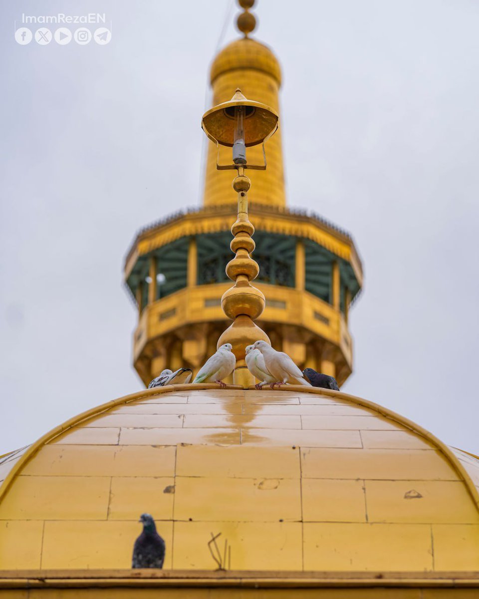 ImamRezaEN's tweet photo. Verily, when the servant commits a sin, his sustenance eludes him.

Imam Baqir (as)

Al-Kafi, vol. 2, p. 270 https://t.co/Cf6dP2CdxV