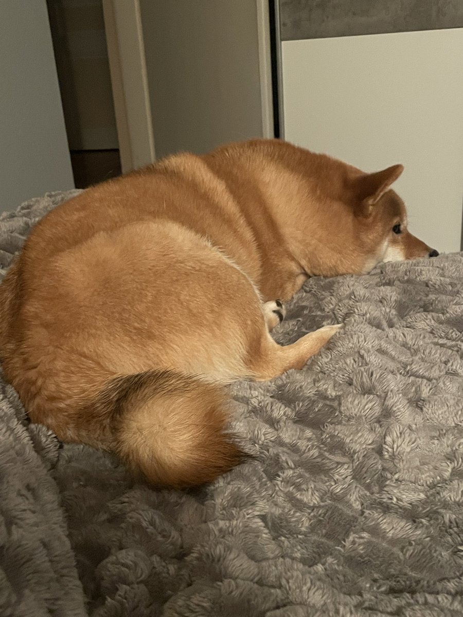 Yutamonbebe's tweet photo. C’est déjà l’heure de la sieste Yuta ? https://t.co/XWfWLbFdsX