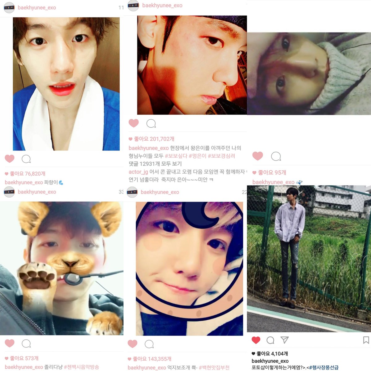 일단 tweet media
