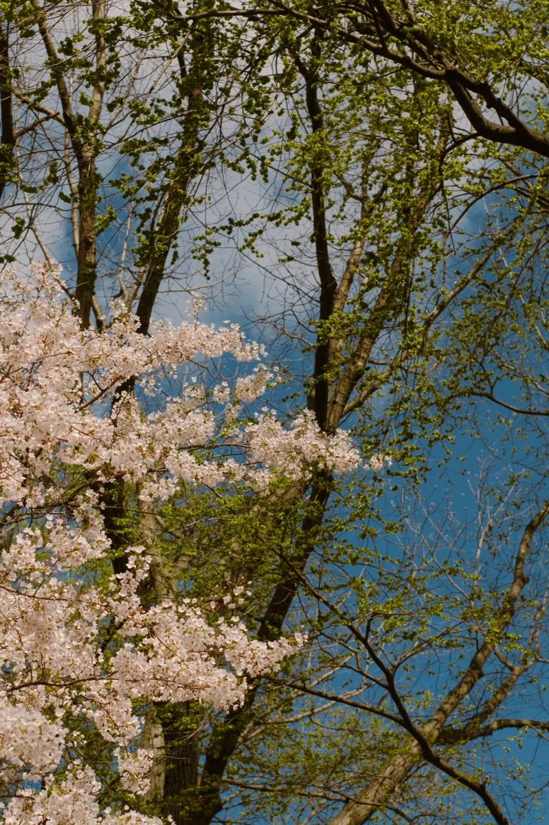 Life is not a race, but a journey, every moment is worth savoring 🌸🌿