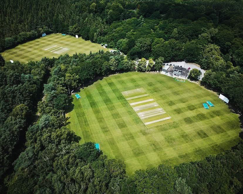 WG RumblePants tweet media