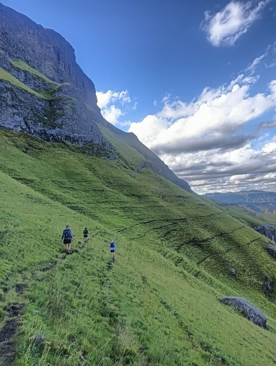 slamdancing's tweet image. Devils knuckles