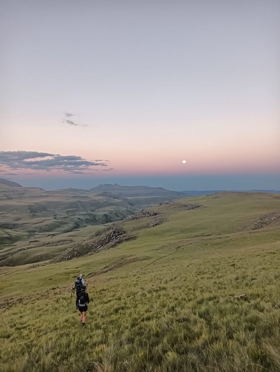 slamdancing's tweet image. Devils knuckles