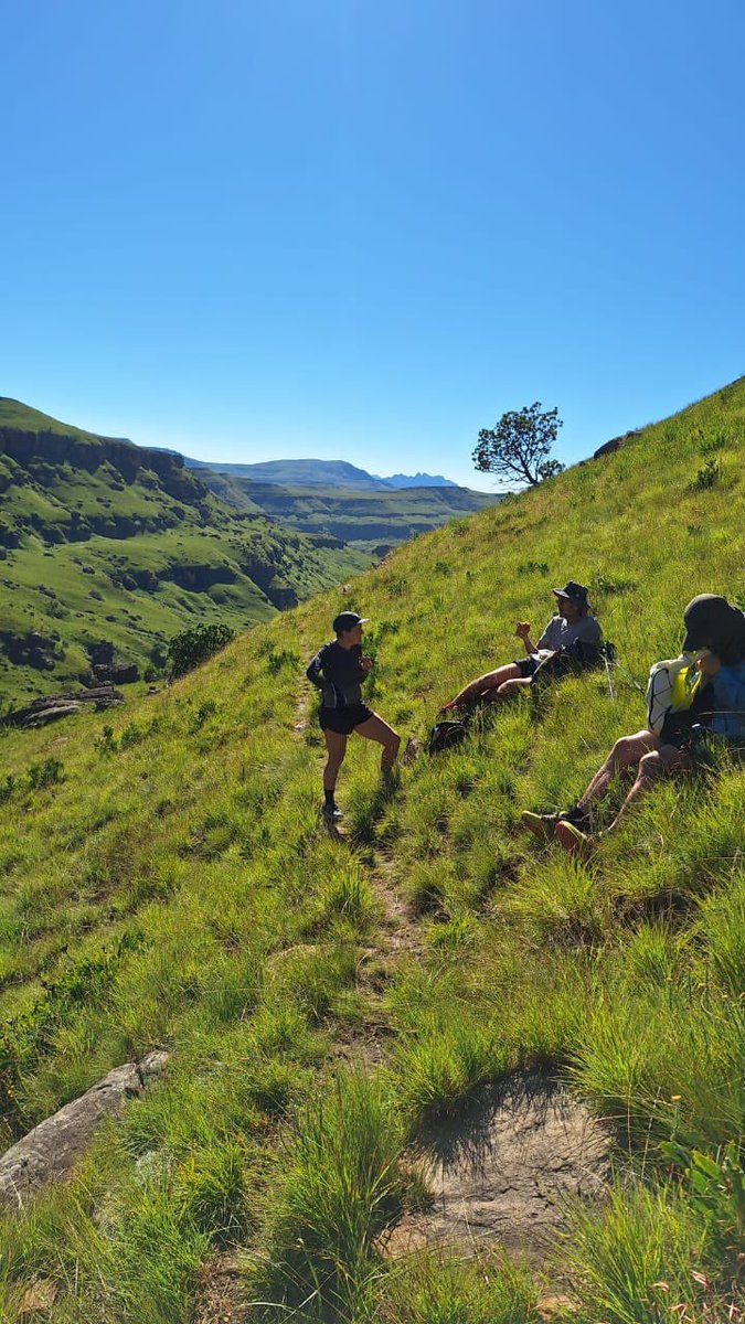 slamdancing's tweet image. Devils knuckles